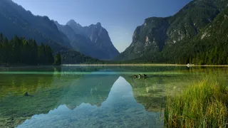 Dolomites Lake Secret Tip: The view from the shore to the Toblach lake, in which mountains are reflected in clear water, while ducks are swimming.